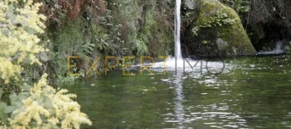 20 bedrooms Hotel in Abrunhosa a Velha, Portugal No. 41361 19