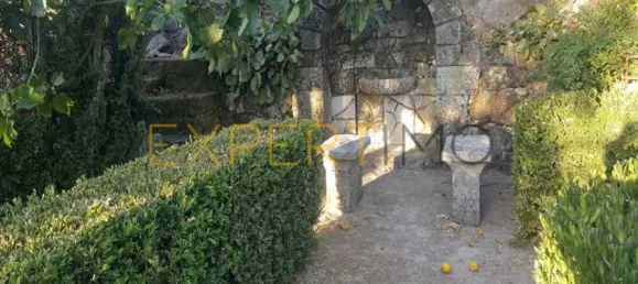 20 bedrooms Hotel in Abrunhosa a Velha, Portugal No. 41361 30