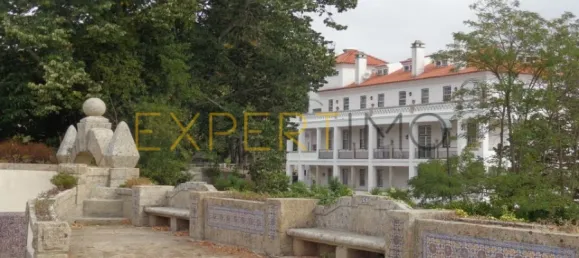 20 bedrooms Hotel in Abrunhosa a Velha, Portugal No. 41361 4