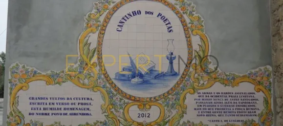 20 bedrooms Hotel in Abrunhosa a Velha, Portugal No. 41361 44