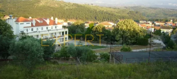 20 bedrooms Hotel in Abrunhosa a Velha, Portugal No. 41361 8