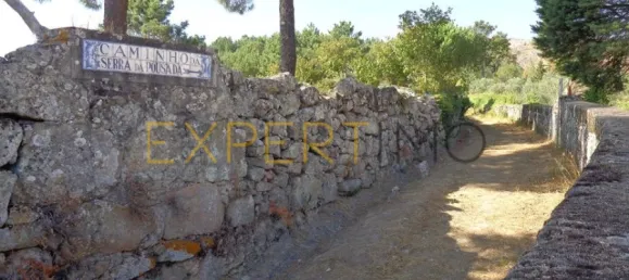 20 bedrooms Hotel in Abrunhosa a Velha, Portugal No. 41361 48