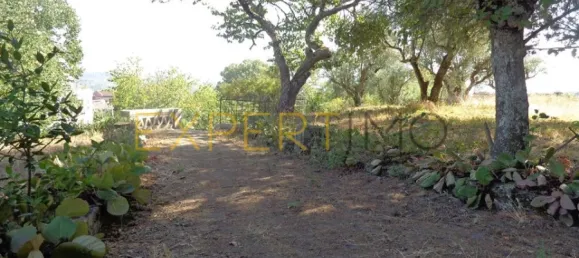 20 bedrooms Hotel in Abrunhosa a Velha, Portugal No. 41361 37