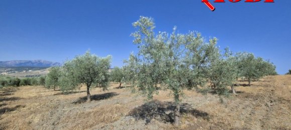  قطعة أرض في Granada, Spain 84202متر مربع رقم 163759 39