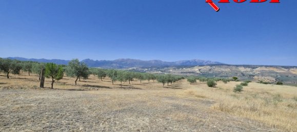  قطعة أرض في Granada, Spain 84202متر مربع رقم 163759 40