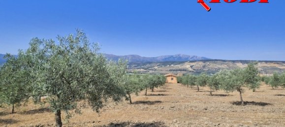  قطعة أرض في Granada, Spain 84202متر مربع رقم 163759 24