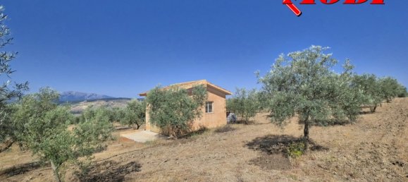  قطعة أرض في Granada, Spain 84202متر مربع رقم 163759 34