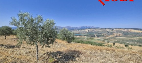  قطعة أرض في Granada, Spain 84202متر مربع رقم 163759 26