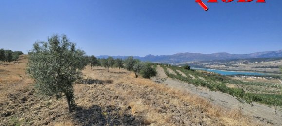  قطعة أرض في Granada, Spain 84202متر مربع رقم 163759 33