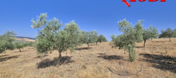  قطعة أرض في Granada, Spain 84202متر مربع رقم 163759 23