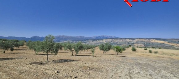  قطعة أرض في Granada, Spain 84202متر مربع رقم 163759 44