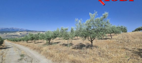  قطعة أرض في Granada, Spain 84202متر مربع رقم 163759 47