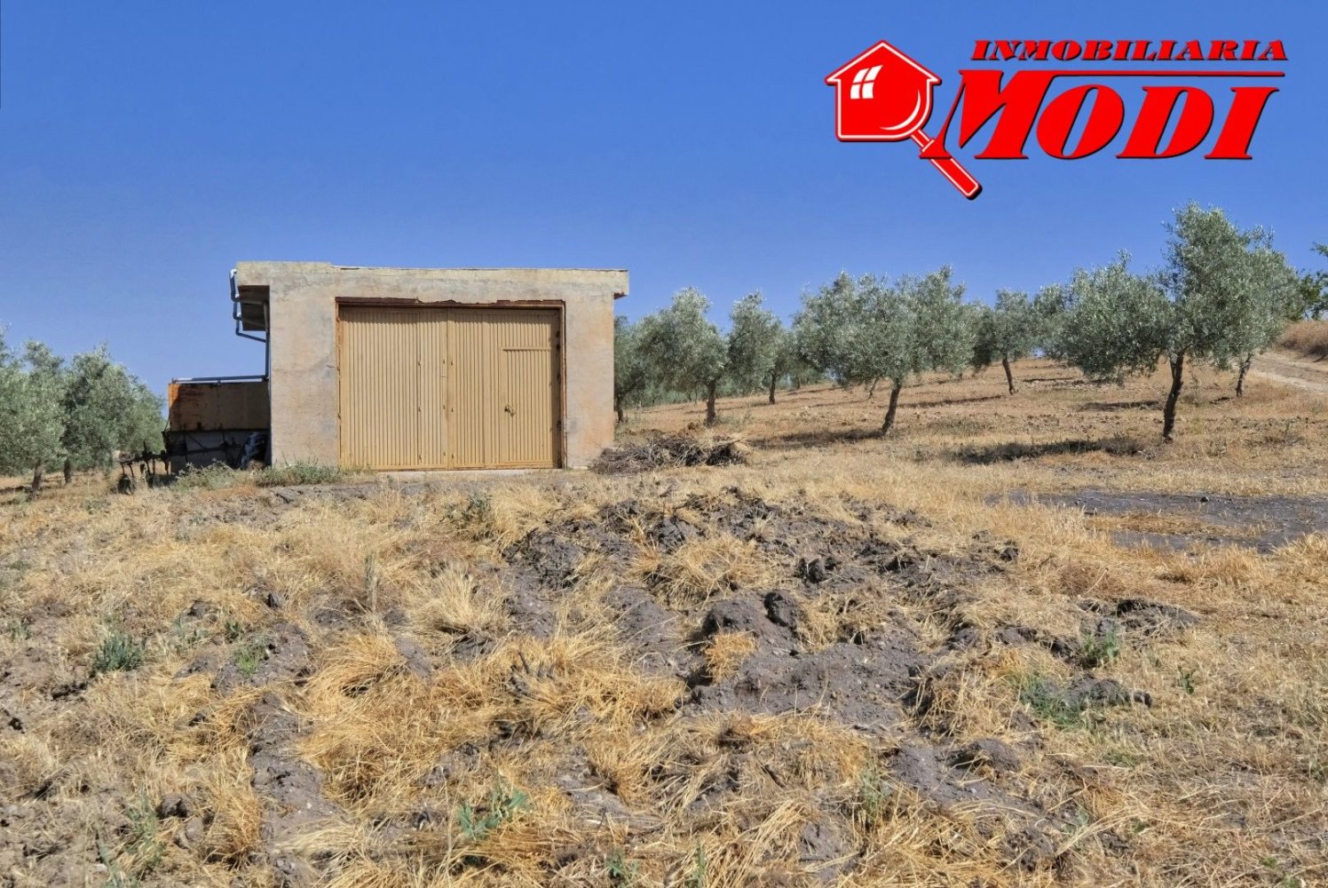  قطعة أرض في Granada, Spain 84202متر مربع رقم 163759