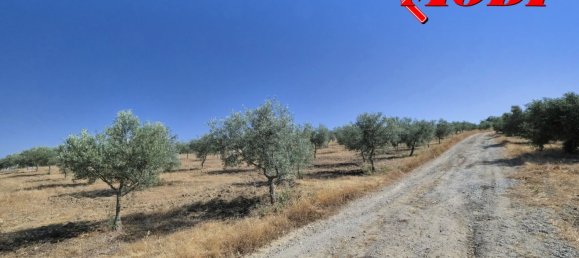  قطعة أرض في Granada, Spain 84202متر مربع رقم 163759 43