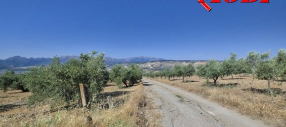  قطعة أرض في Granada, Spain 84202متر مربع رقم 163759 38