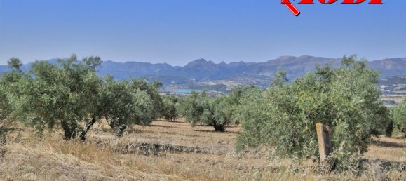  قطعة أرض في Granada, Spain 84202متر مربع رقم 163759 21