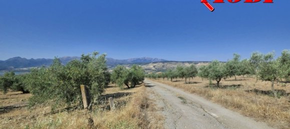  قطعة أرض في Granada, Spain 84202متر مربع رقم 163759 14