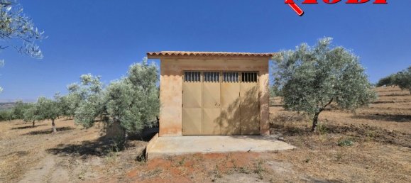  قطعة أرض في Granada, Spain 84202متر مربع رقم 163759 41