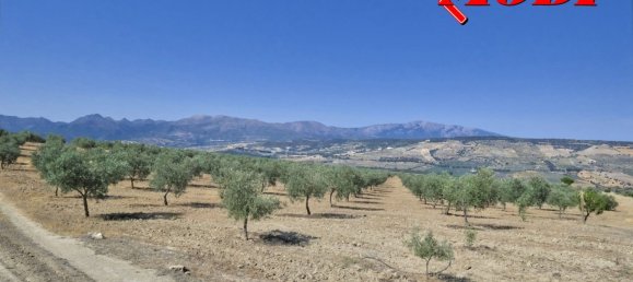  قطعة أرض في Granada, Spain 84202متر مربع رقم 163759 32