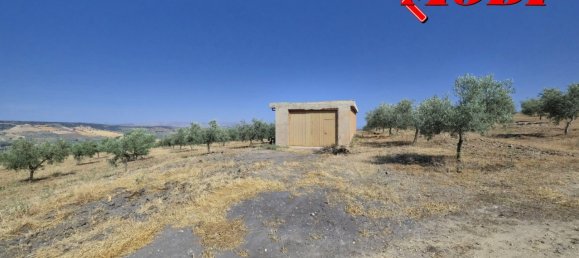  قطعة أرض في Granada, Spain 84202متر مربع رقم 163759 50