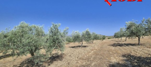  قطعة أرض في Granada, Spain 84202متر مربع رقم 163759 29