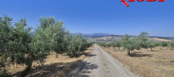  قطعة أرض في Granada, Spain 84202متر مربع رقم 163759 22