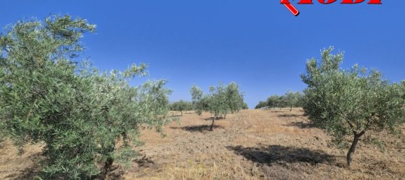  قطعة أرض في Granada, Spain 84202متر مربع رقم 163759 48