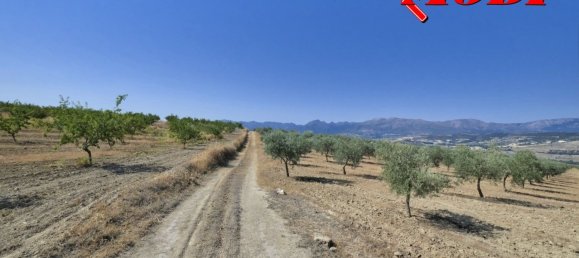  قطعة أرض في Granada, Spain 84202متر مربع رقم 163759 37