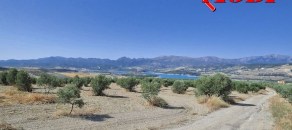  قطعة أرض في Granada, Spain 84202متر مربع رقم 163759 46