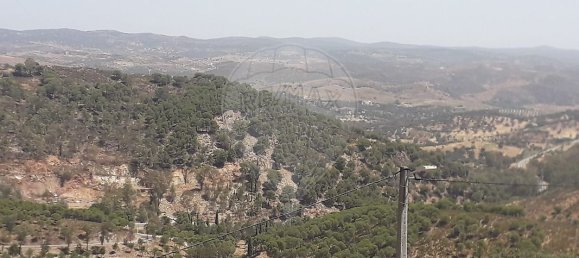 1 bedroom House in Barrancos, Portugal No. 39869 19