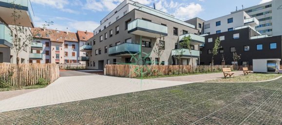 1 chambre Appartement à Bischheim, France No. 279273 8