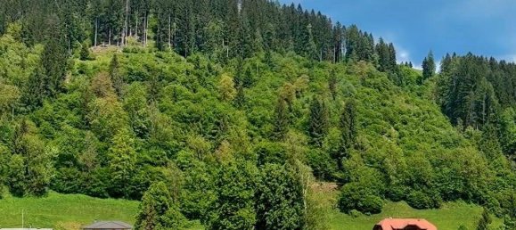 Terrain à Afritz am See, Austria 33940m² No. 165242 2