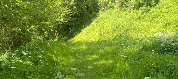 Terrain à Afritz am See, Austria 33940m² No. 165242 6