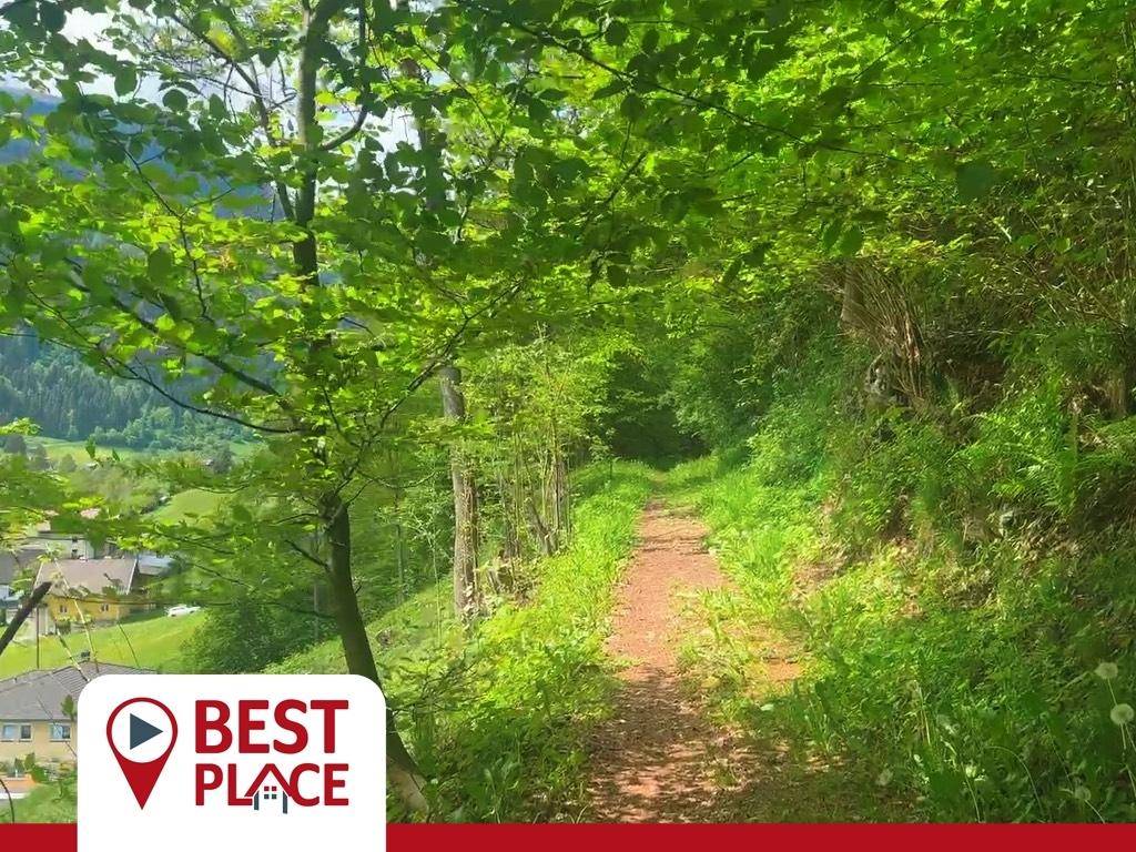 Terrain à Afritz am See, Austria 33940m² No. 165242