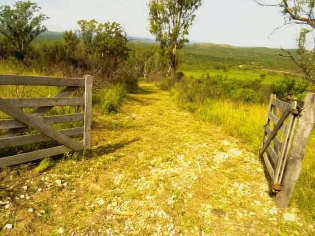 Grundstück in Cordoba, Argentina, Nr. 50496