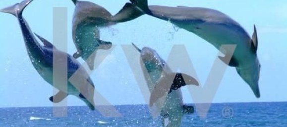 8 bedrooms House in Grandola, Portugal No. 120943 6