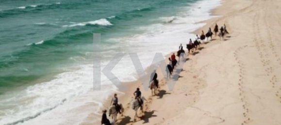 8 bedrooms House in Grandola, Portugal No. 120943 5