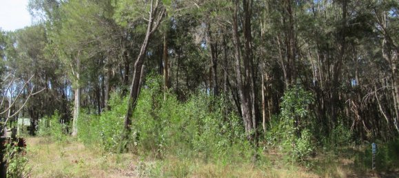 Terreno en Russell Island, Australia 607 m² No. 1113 4