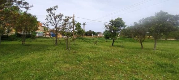 Земельный участок в Сарагоса, Испания № 66388 4