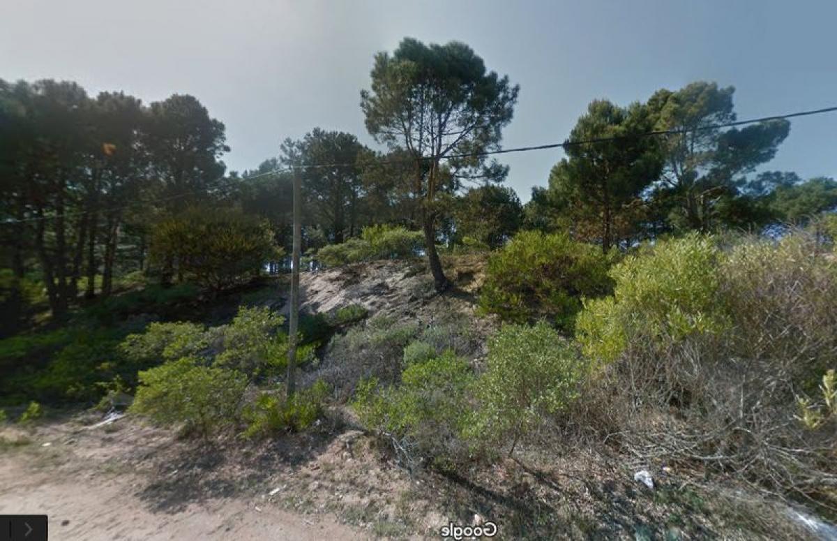 Terreno en Maldonado, Uruguay No. 15429