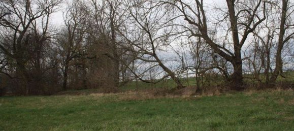  قطعة أرض في Saalekreis, Germany رقم 71322 5