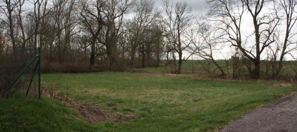  قطعة أرض في Saalekreis, Germany رقم 71322 14