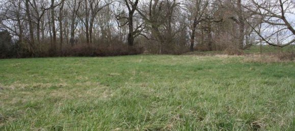  قطعة أرض في Saalekreis, Germany رقم 71322 4