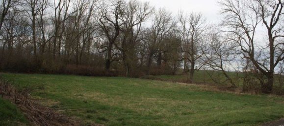  قطعة أرض في Saalekreis, Germany رقم 71322 3