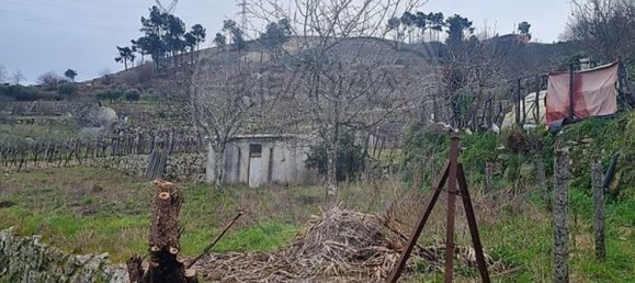 3 bedrooms House in Resende, Portugal No. 164853 19