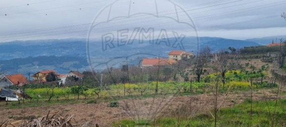 3 bedrooms House in Resende, Portugal No. 164853 22