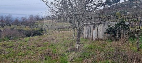 3 bedrooms House in Resende, Portugal No. 164853 20