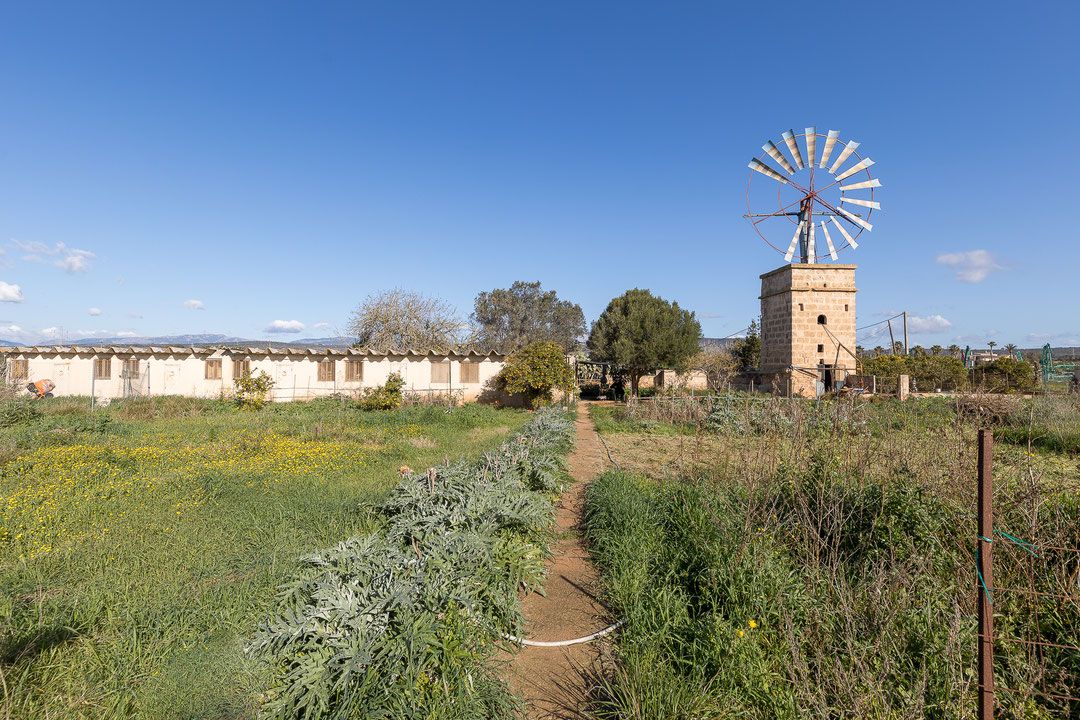 10 غرف نوم منزل في Palma de Majorca, Spain رقم 200215