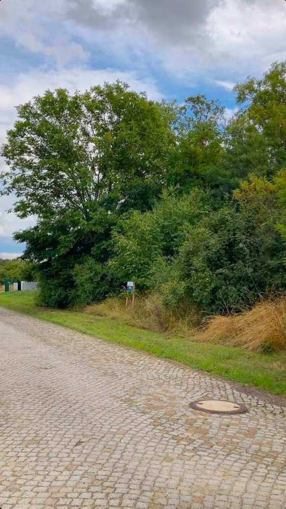 Terreno en Saalekreis, Germany No. 42883