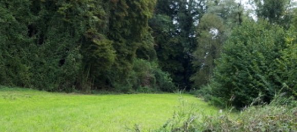 Земельный участок в Altotting, Германия № 156400 5